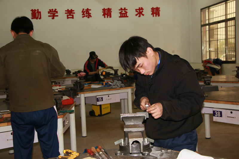 IMG_3890.jpg